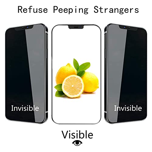 HXL [2+2 Pack] iPhone 12 Pro Max Privacy Screen Protector with Camera