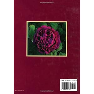The Art of Gardening With Roses