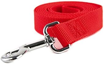 Strong Nylon Dog Leash, for Medium Large Dogs Walking, Training or Exploring, 10 feet Long 1 inch Wide