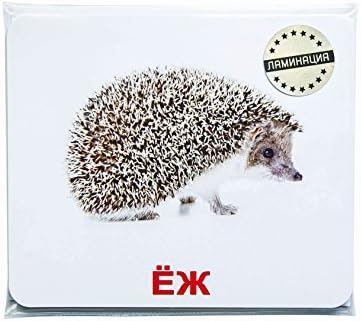 Вундеркинд с пеленок. Дикие животные на русском языке (большие карточки с фактами) Wild animals Russian Flash Cards