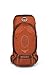 Osprey Men's Atmos AG 65 Backpack (2017 Model), Cinnabar Red, Medium