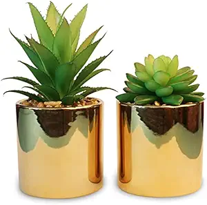 Succulent Plants Artificial in Pots Ceramic Potted Succulents Decor for Bedroom, Living Room, and Office Decoration, Set of 2