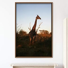signwin Framed Canvas Wall Art Giraffe Animals Expressive...