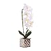 White Artificial Phaleanopsis Arrangement with Vase Decorative Orchid Flower Bonsai Table Centerpiece with Chrome plated flowerpot