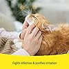 Vetzyme | Antibacterial Dog Ear Drops | Also Suitable for Cats & Small Pets | Fights Infection & Soothes Irritation (18…
