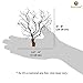 SunGrow Natural Aquarium Sea Fan Dramatic Piece of Aquarium Décor - Great for Fish Tanks, Terrariums, Plant Tanks, Art Projects, Wall Decor