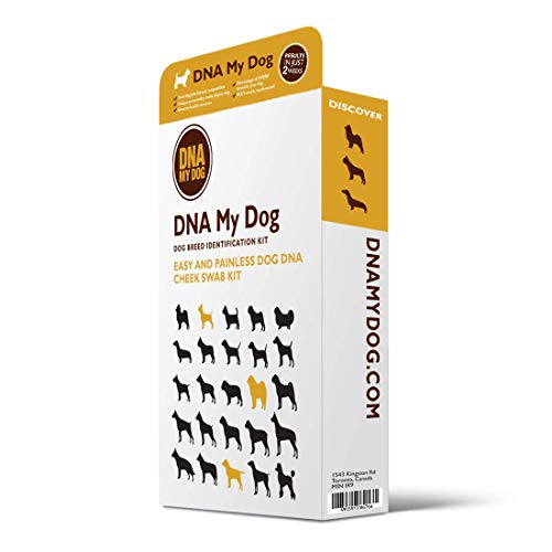 Dna My Dog Breed ID Test - Image 3