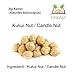 FINFAST Candle Nut / Kukui Nut
