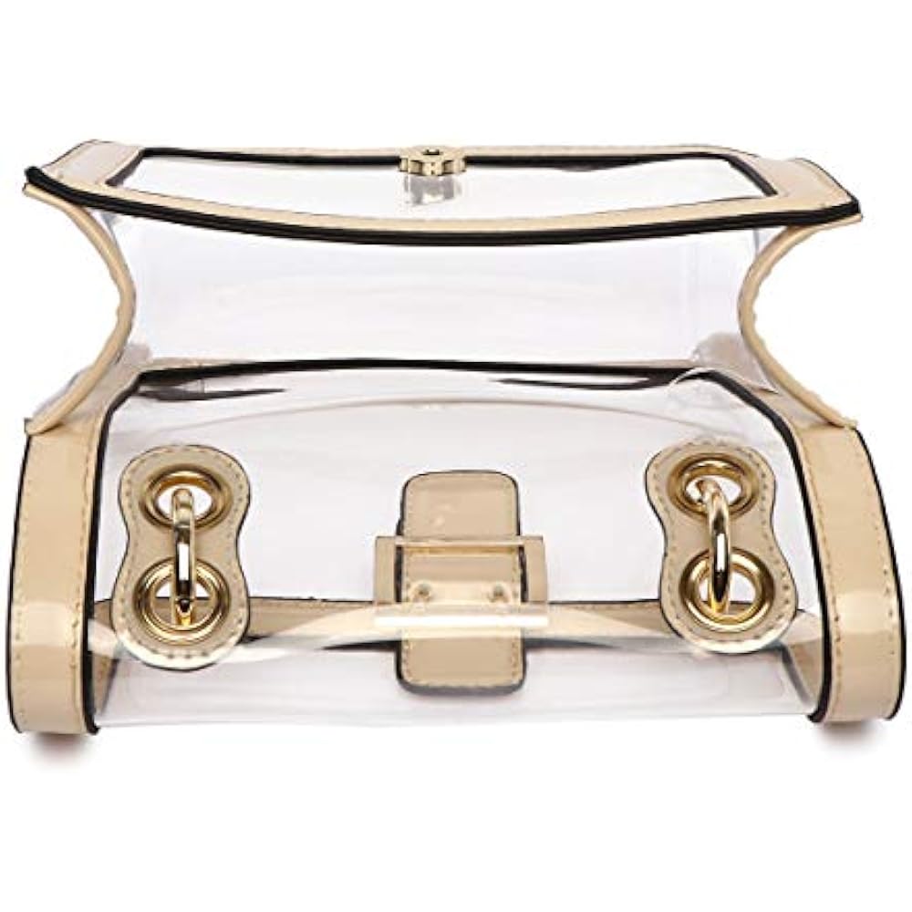 Clear Crossbody Bag With Chain Strap Literacy Basics