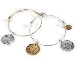 Style Me Up! Charmazing - Let's Get Started - Forest Collection