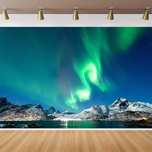 CapiSco Aurora Borealis Backdrop 7x5ft Arctic