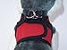 Snazzi Pet Soft Mesh Comfy Step in Dog Vest Harness Tiny XS Small Dogs 2-16 lbs Teacup Mini Toy Puppy (Red, SM 12.5