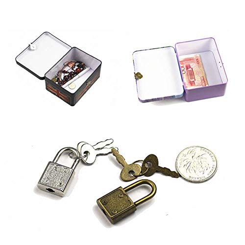 dream_light Retro Style Rectangle Tinplate Storage Box with Padlock, Home Kitchen Desktop Storage Tin Canister, Chocolate Candy Tea Coffee Cosmetics Jewelry Photos Gift Case (Apricot Flower)