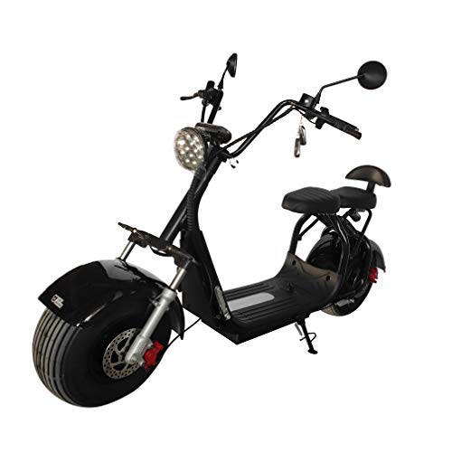 FatBear Scooter ES295-3.1 FatBear Scooter ES295-3.1