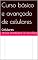 Livro Curso básico e avançado de celulares : Curso Celulares