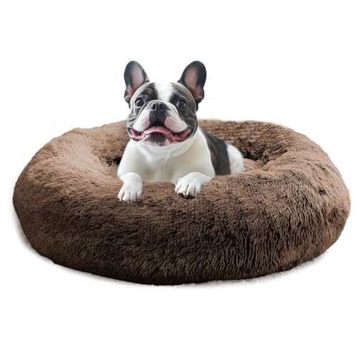 JOLLYVOGUE Calming Dog Bed