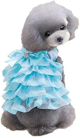 Fancy Me Animal De Compagnie Fille Chien Ou Chat Froufrous Girly Robe De Princesse Deguisement Tenue Petit Habits Pour Chiens Vetements Xs Xl Bleu Small Amazon Fr Animalerie Fancy Me Animal De Compagnie Fille Chien Ou Chat Froufrous Girly Robe De Princesse Deguisement Tenue Petit Habits Pour Chiens Vetements Xs Xl Bleu Small Amazon Fr Animalerie