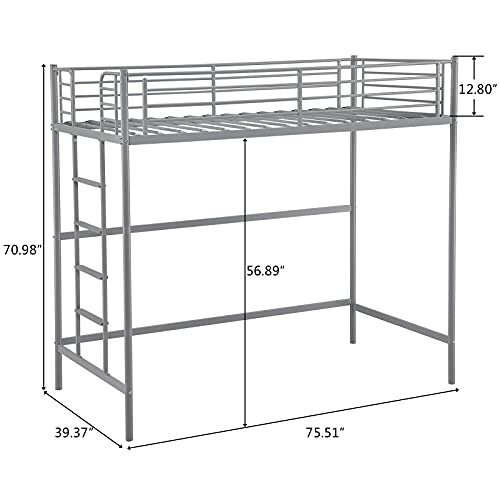 Bonnlo Twin Size Metal Loft Bed for Kids, Gray Pricepulse