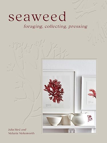 Amazon.com: An Ocean Garden: The Secret Life of Seaweed