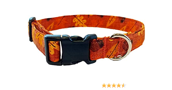 fall dog collars amazon