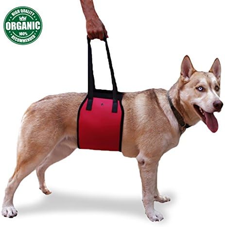 Dog Lift Harness Aid Support Lifter for Injuries Weak Hind Legs Joints Surgery Rehabilitation By Kpmall