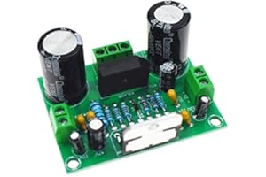 RELAND SUNG TDA7293 Digital Audio Amplifier Board Mono Single Channel AC 12v-50V 100W APM Board Module 2 X 50W