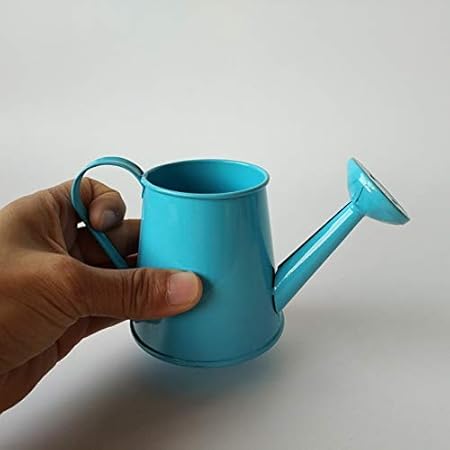 Amazon Com Zamtac 10pcs Lot Garden Metal Flower Kettle Mini Small