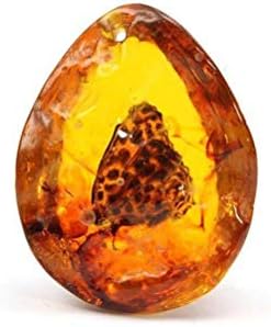 Beautiful Butterfly Insect Amber Pendant Necklace