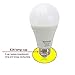 Bomcosy 12W A19 E26 LED Bulbs, 100W Incandescent Bulb Equivalent,Not Dimmable,1050 Luminous,6000K Daylight-5 Pack