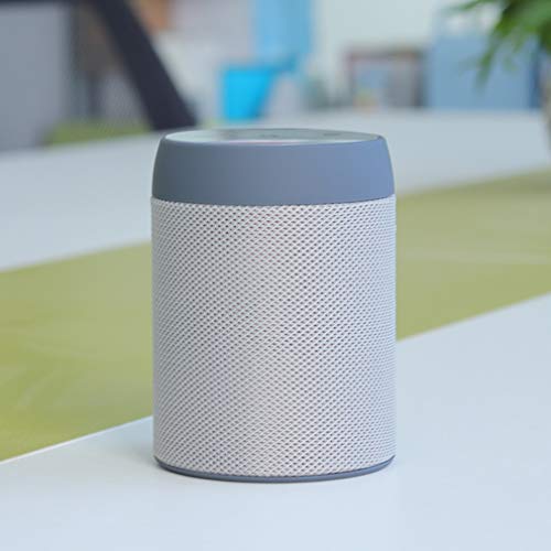 White Noise Machine 20 Non-Looping Soothing Natural Sounds and White Noise with High Quality Speaker & Memory Function for Sleeping Work Relaxed (Gray)