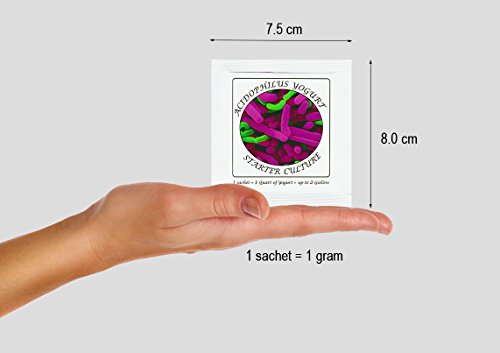 4 Yogurt+Starter+Cultures+Freeze+dried+Acidophilus
