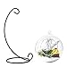Mkono Clear Glass Vase Hanging Plant Terrarium with Black Metal Stand Tabletop Display Potted Stand for Air Plants Succelent Home Office Decor, C-Shape, 1 Globe
