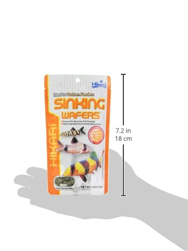 Hikari Tropical Sinking Wafers for Catfish, Loaches and Bottom Feeders 3.88 oz
