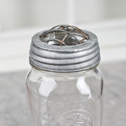 Turn a Jar Into a Vase! Large Mouth Frog Grated Galvanized Metal Lid for Floral Arranging, Crafting, and More- Package of 6