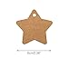 Christmas Star Gift Tags with String Kraft Paper Blank Gift Wrap Tags 100 Pcs Wedding Crafts Tags with 66 Feet Jute Twine