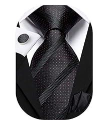 Hi-Tie Black Striped and Red Dot Ties for Men Woven