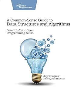 A Common-Sense Guide to Data Structures and Algorithms: Level Up Your Core Programming Skills book cover