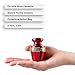 Trupoint Memorials Small Urns for Human Ashes Keepsake, Decorative Mini Cremation Urn for Adult Men and Women, Small Grecian Red and Gold