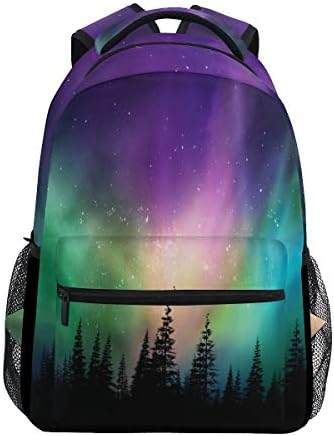 jansport northern lights backpack