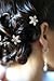 CB Accessories White Flower Hair Pins with Rhinestone Crystal for Wedding, Prom, Dance and Special Event (Set of 8)