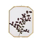 NCYP Brass Hanging Photo Frame, Double Glass Wall