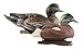 Avery GHG Hunter Series Life Size Wigeon Waterfowl Floating Hunting Decoys (6-Pack) | Ultra-Realistic Carvings and Paint Schemes | 60/40 Dura-Keel Design | 4 Drakes, 2 Hens - 73043