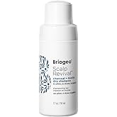 Briogeo Scalp Revival Charcoal + Biotin Dry Shampoo | Non-Aerosol Powder for Oily Roots | Detoxifying Dry Shampoo for All Hair Types | Vegan & Cruelty Free | 1.7 oz.