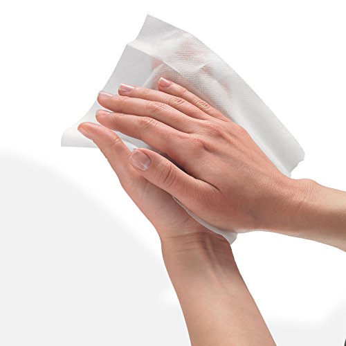 PURELL 9111-12 Sanitizing Wipes, 100 Count Canister (Case of 12)