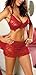 Dreamgirl Women's Lace Bra Skirt and Thong   #4210