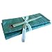 della Q Tri-Fold Knitting Case for Circular Knitting Needles; 017 Seafoam Stripes 1145-1-017