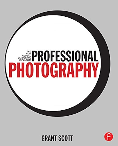 Download Professional Photography: The New Global Landscape Explained (English Edition) PDF