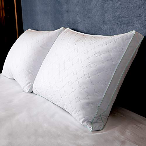 puredown Natural Goose Down Feather Gusseted Pillows Inserts for