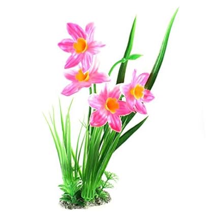 Amazoncom Edealmax Poissons Fleurs Réservoir Détail