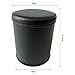 Dice Cup with 5 Dice (Blue)